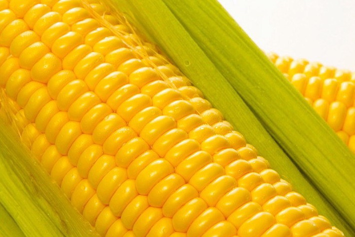Чем полезны семена кукурузы?